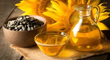 Sunflower oil for cooking and food service